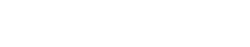 Elan Logo